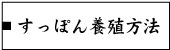 すっぽん養殖方法ページへ