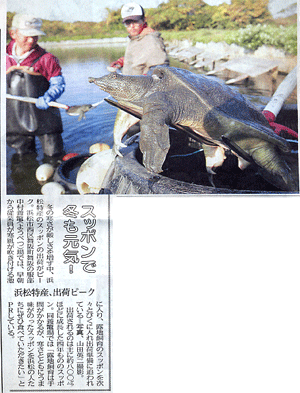 中日新聞（浜松版）